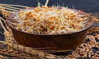 اثر جوانۀ گندم برای کمک به بهبود کبد چرب