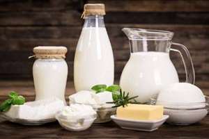 دستیابی محققان کشور به راهکاری مؤثر برای کاهش آفلاتوکسین در لبنیات