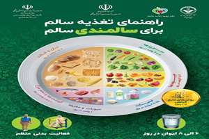 راهنمای تغذیه سالم برای سالمندی سالم